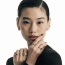 중앙땅콩 이미지