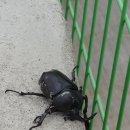 군산농약사 이미지