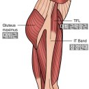 뮤토필라테스 이미지