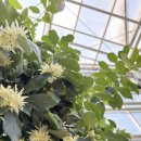 식물원 옆 동물원 이미지