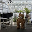 수원-1982 이미지