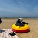 엠엘피 | 만리포해수욕장 햄버거 맛집 I 엠엘피서프 MLPSURF 수제버거 내돈내산 후기