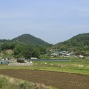 순창야채