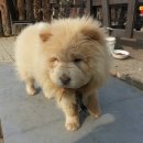 백모농장 이미지