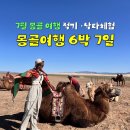 P-5L03 | 몽골 여행 적기 7월 낙타 승마체험 동행구하기 여기트래블 후기