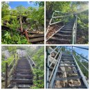 소구니쉼터 | 유명산.용문산 종주_100대명산 27,28/100