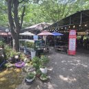 이집이좋겠네 | 서울 근교 경기도 백숙 계곡 추천 :: 장흥유원지 &lt;이집이좋겠네&gt; 내돈내산 후기