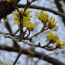 꽃섬투어 이미지