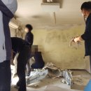 도배나라 이미지