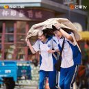 2026 로맨스 중드 9편 솔직 후기! 야구골두 필수 시청 vs 치하 평점 4.8점 혹평 이유