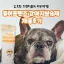 강아지를 부탁해 | 프렌치불독 밝음이의 피부관리템, 퓨어프렌즈 강아지보습제 솔직 후기