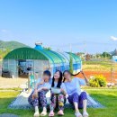 자연들마트 | 경기도 촌캉스 숙소 추천ㅣ대부도 펜션 스테이 어우렁 친구들과 서울 근교 촌캉스 후기