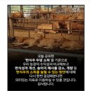 호재목장 이미지