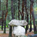 꿈꾸는 계곡펜션 이미지