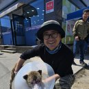 청송동물병원 이미지