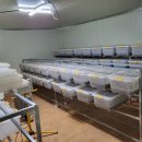 옥종농장 이미지