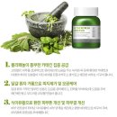 금빵마녀 | 피부 진정 - 정화 + 모공 관리 팩 : 마녀공장 허브팩 추천 및 후기 by 그루민