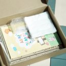 행잉플랜트 공기정화식물체험 이미지