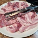 참갈매기뽈살 이미지