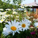 부활펜션 이미지