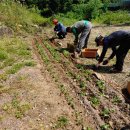 산촌마을 이미지