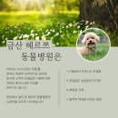금산헤르쯔 동물병원 이미지