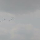 화포천마을 이미지