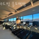 피티메이드