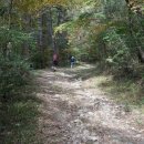 화장산(花長山586m)과 연화산(蓮花山444m)/경남 함양 이미지