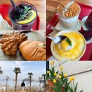 복이애견샵 | 통영 4계절 정원 카페 아르세 ㅣ 애견동반 카페 ㅣ 대형 오션뷰 카페 ㅣ 통영 가볼만한곳