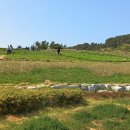 바다풍경(오륙도) 이미지