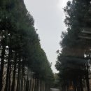 절물휴게소