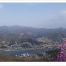 꽃길따라 이미지