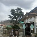 동천덕오리 이미지