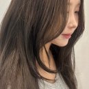 제니스튜디오 네이버블로그