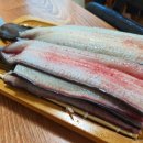 용궁 민물장어 이미지