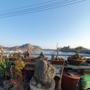 자연세계 펜션 이미지