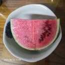 수박 어때유🍉 #수박 #여름 #맛있어 이미지