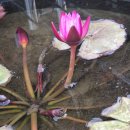 부평우주마루 이미지