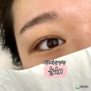 사직2동-8 | [부산] 동래 사직동 속눈썹펌 잘하는 눈채