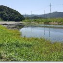 구룡천2 이미지