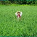 태기산치유마을 이미지