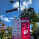 고리산통나무집 | 용인 아이와 가볼만한곳: 자작나무숲 핑크뮬리 명소, 가을꽃축제 후기