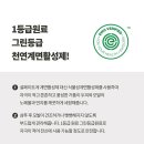 정아로마