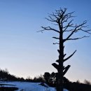 곰배령 팜스테이 이미지