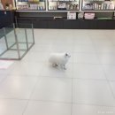 365동물병원 위례점 이미지