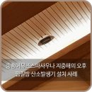 지중해사우나 이미지