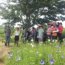 미림농장 이미지