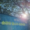 숲속계곡 이미지