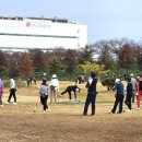 선산파크골프장 이미지